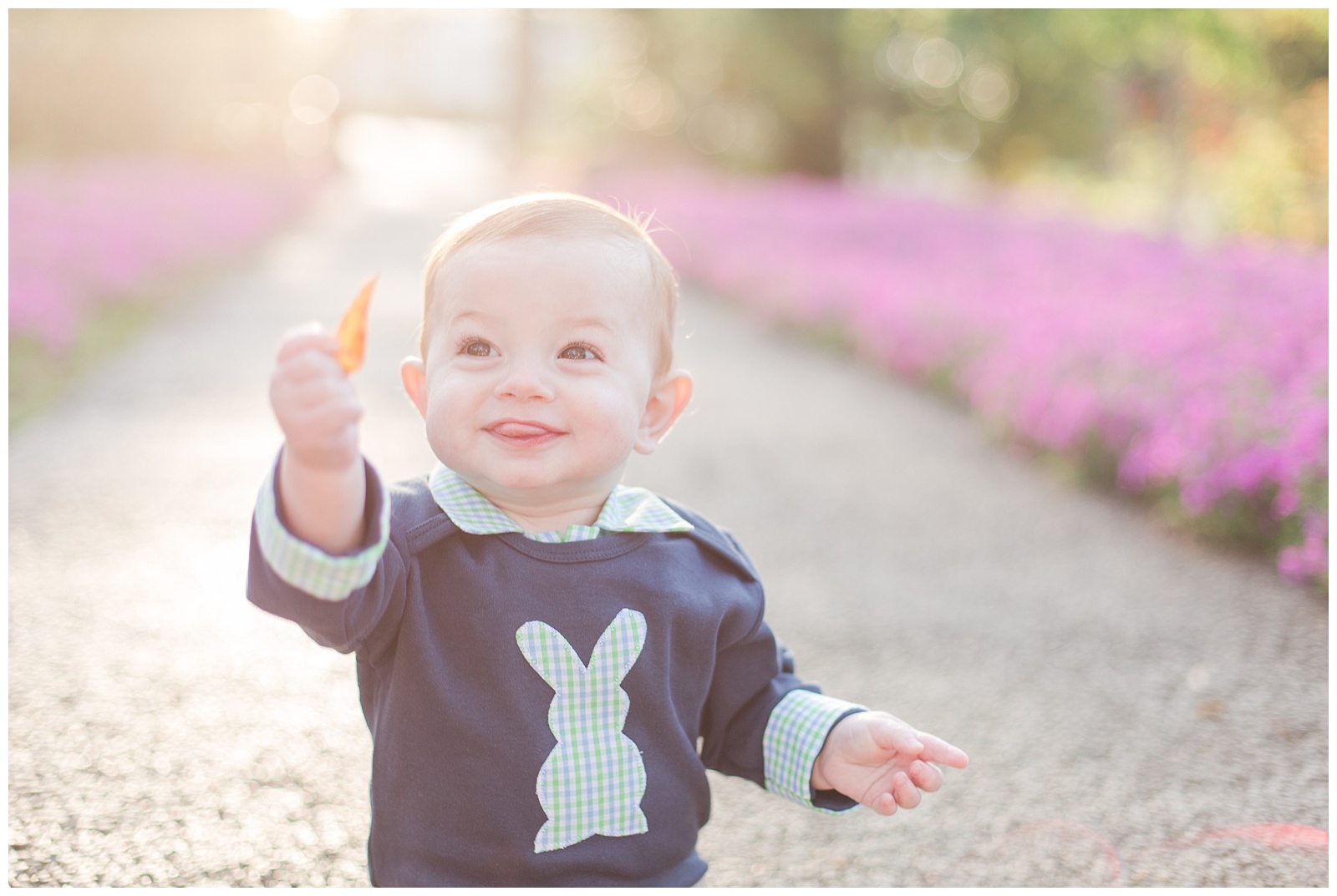 the coker family donald e. davis arboretum auburn, alabama